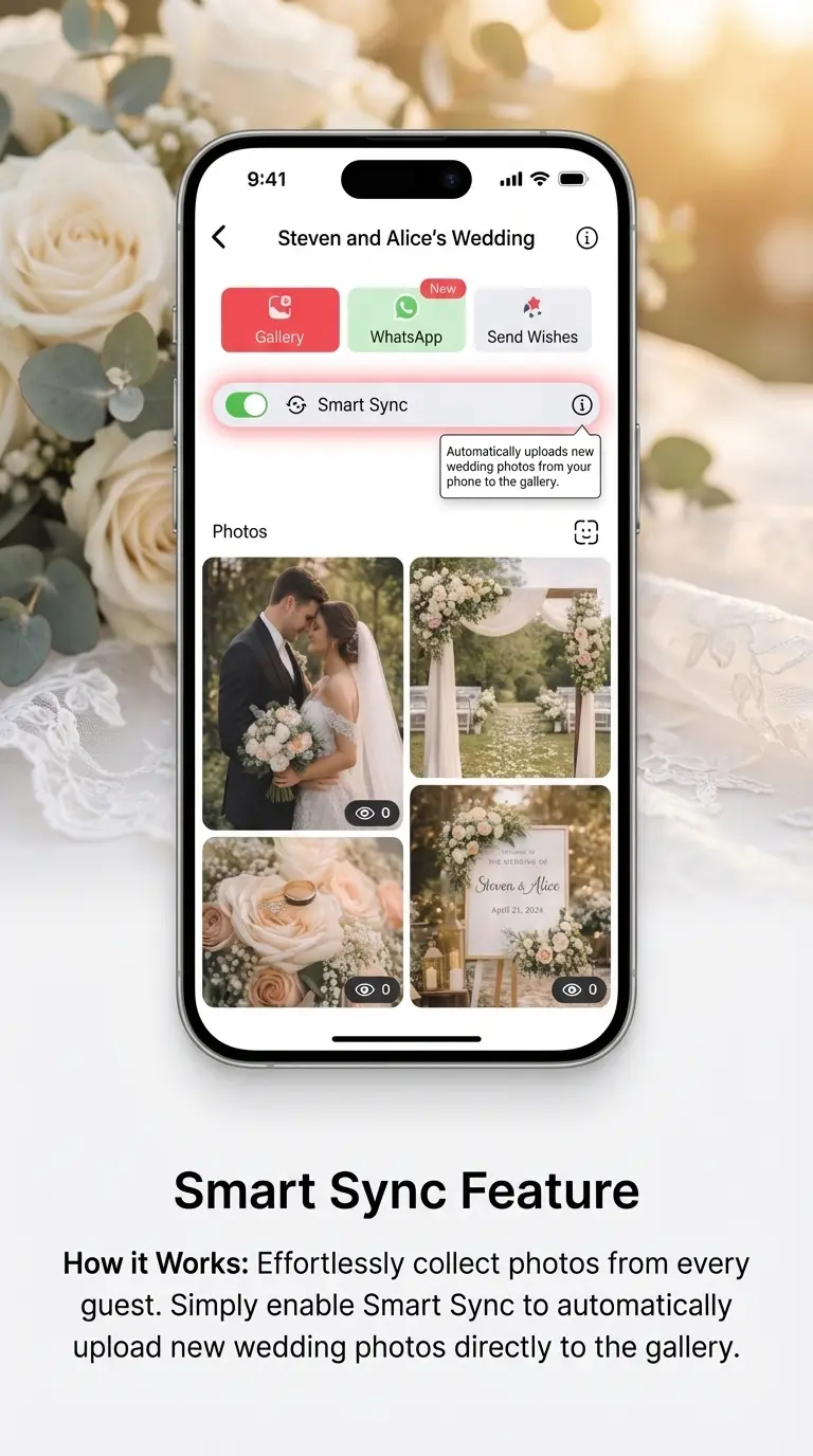 Smart Sync - Picaggo